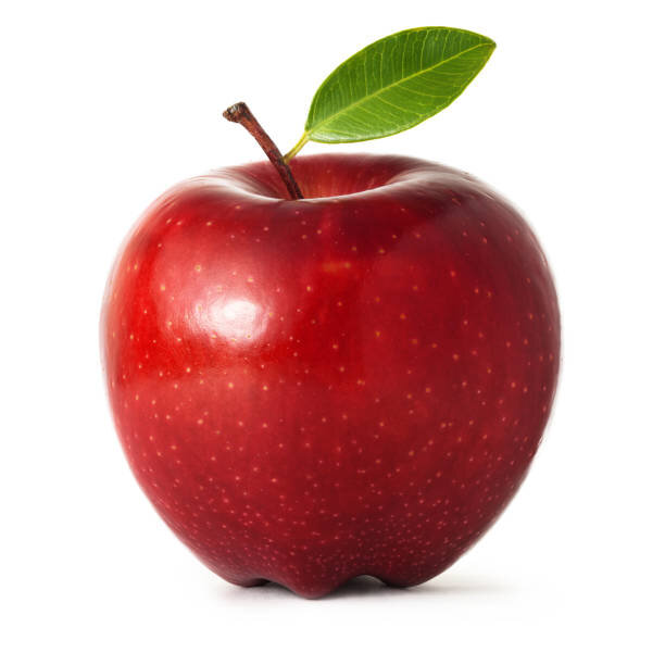 История выращивания "одомашненных" яблонь насчитывает более 5000 лет.  Колыбелью яблоневодства в Европе была Древняя Греция.