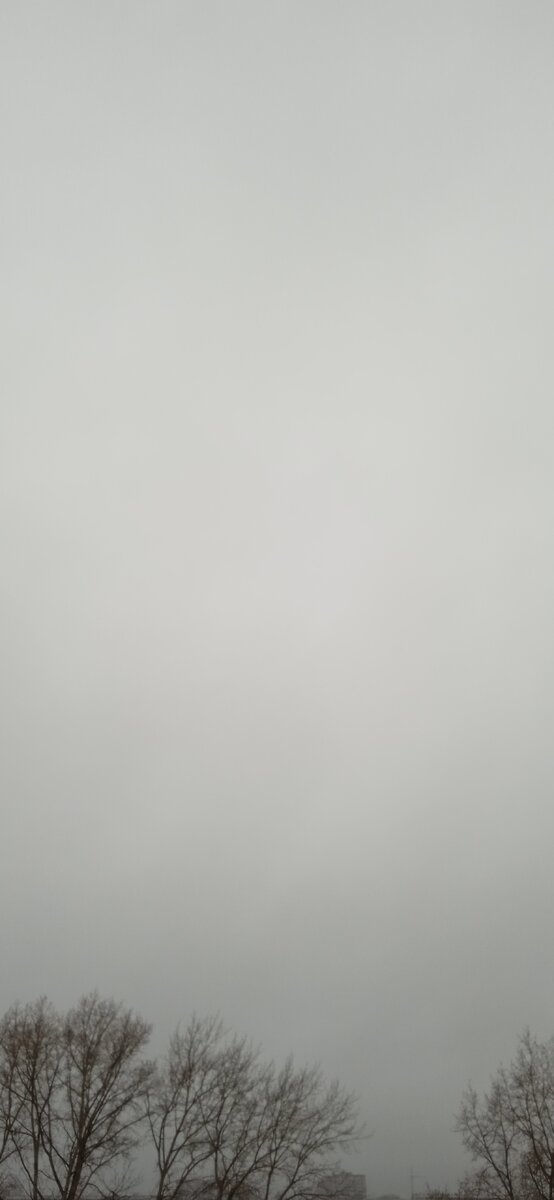 Источник:личное фото