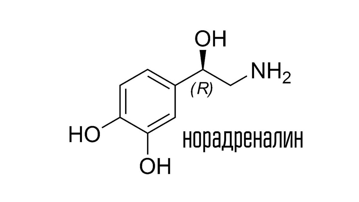Норадреналин это. Химическая структура норадреналина. Норадреналин формула биохимия. Норадреналин формула химическая. Норадреналин структурная формула.