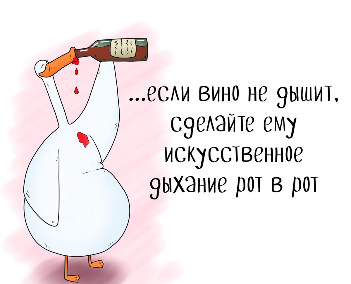 Если бы не было вина. Шутки про вино. Шутки о вине. Смешные шутки про вино. Смешное вино