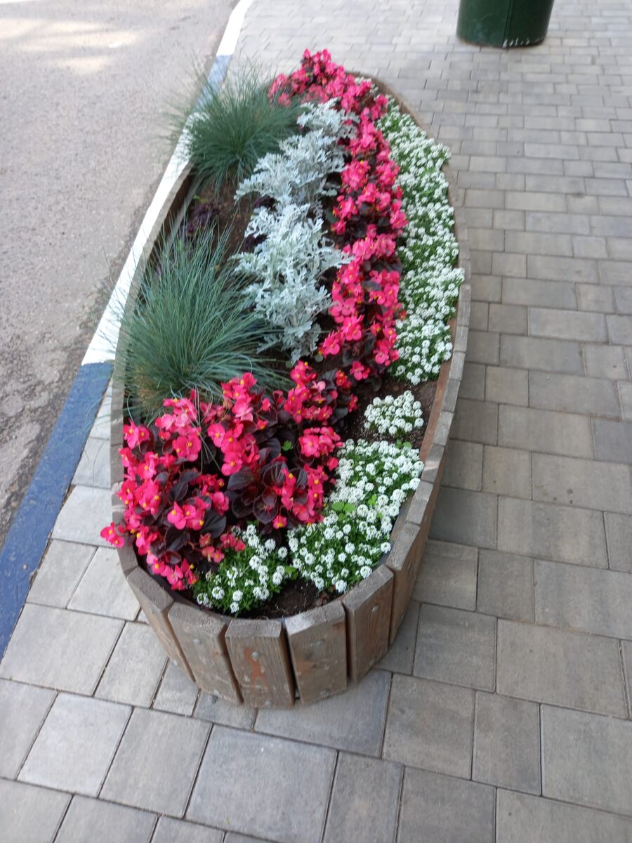 Фото автора.