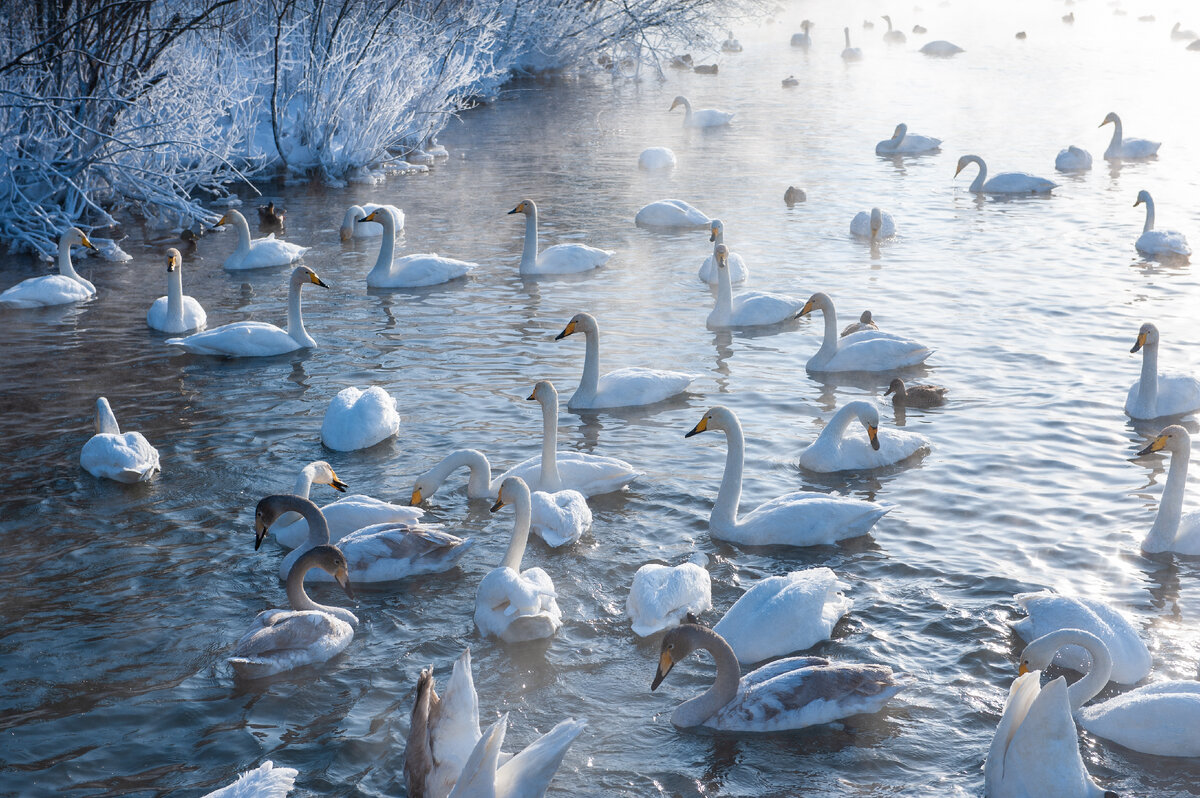 Фото: Руслан Олинчук