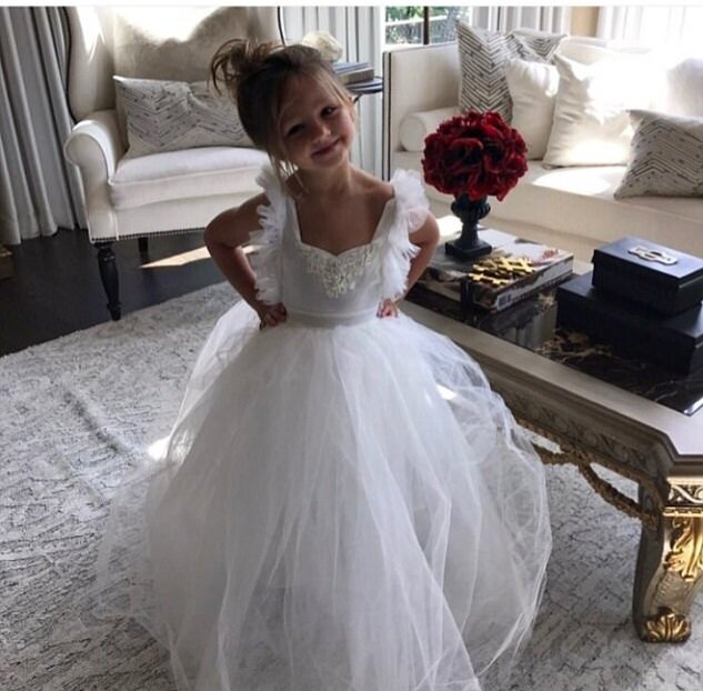 Картинка из свободного доступа