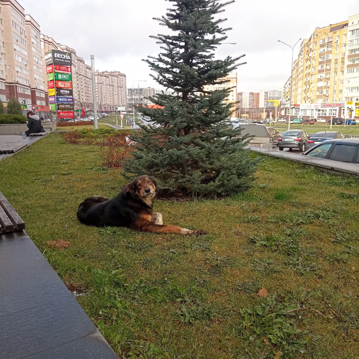 Ноябрь в городе