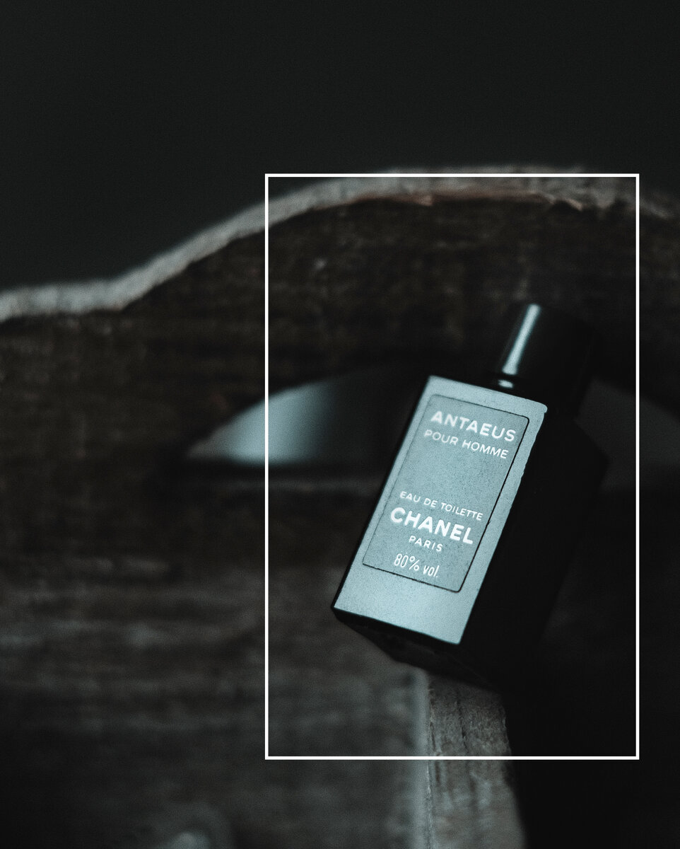 ВЕРХ: Мирра, Мускатный шалфей, Кориандр, Бергамот, Лайм, Лимон 

СЕРЕДИНА: Роза, Чабрец, Базилик, Жасмин


БАЗА: Кастореум, Дубовый мох, Пачули, Французский лабданум