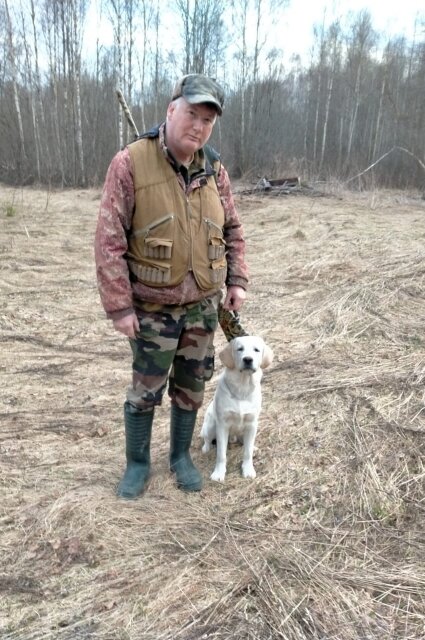    Лабрадор Арчи не только раскрывает преступления вместе с хозяином, но и помогает ему на охоте Фото: АиФ-Псков/ Фото предоставлено героем публикации