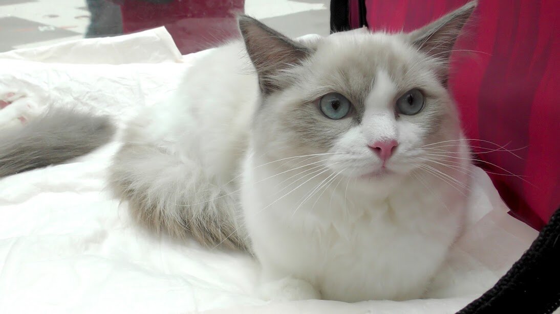 © Фото: ИД «Волгоградская правда» / архив.