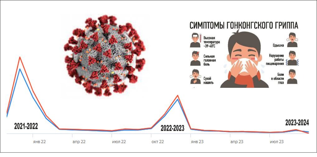 Гонконгский грипп 2023 2024