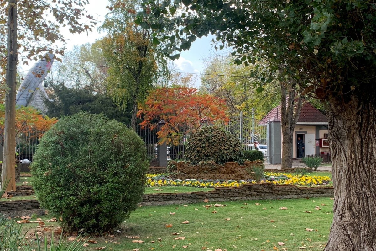    В Краснодаре ожидается аномальное тепло, воздух прогреется до +20 градусов