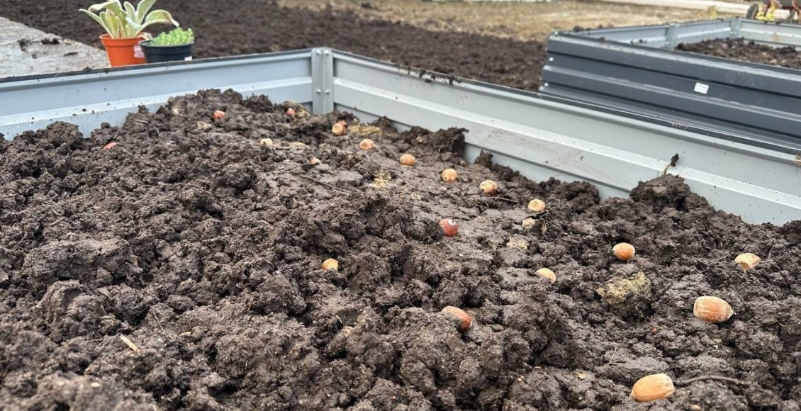    Фото: АО «Невский экологический оператор»