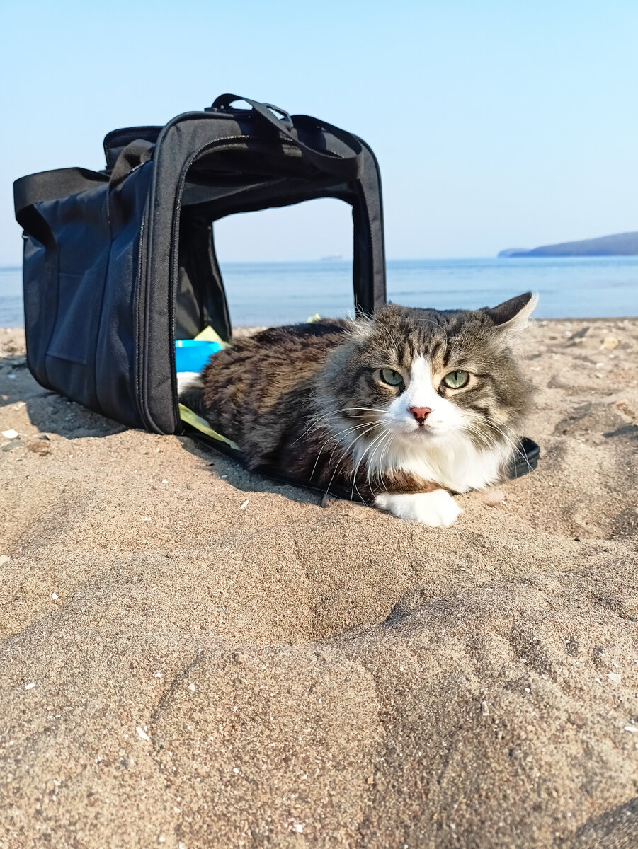 Море