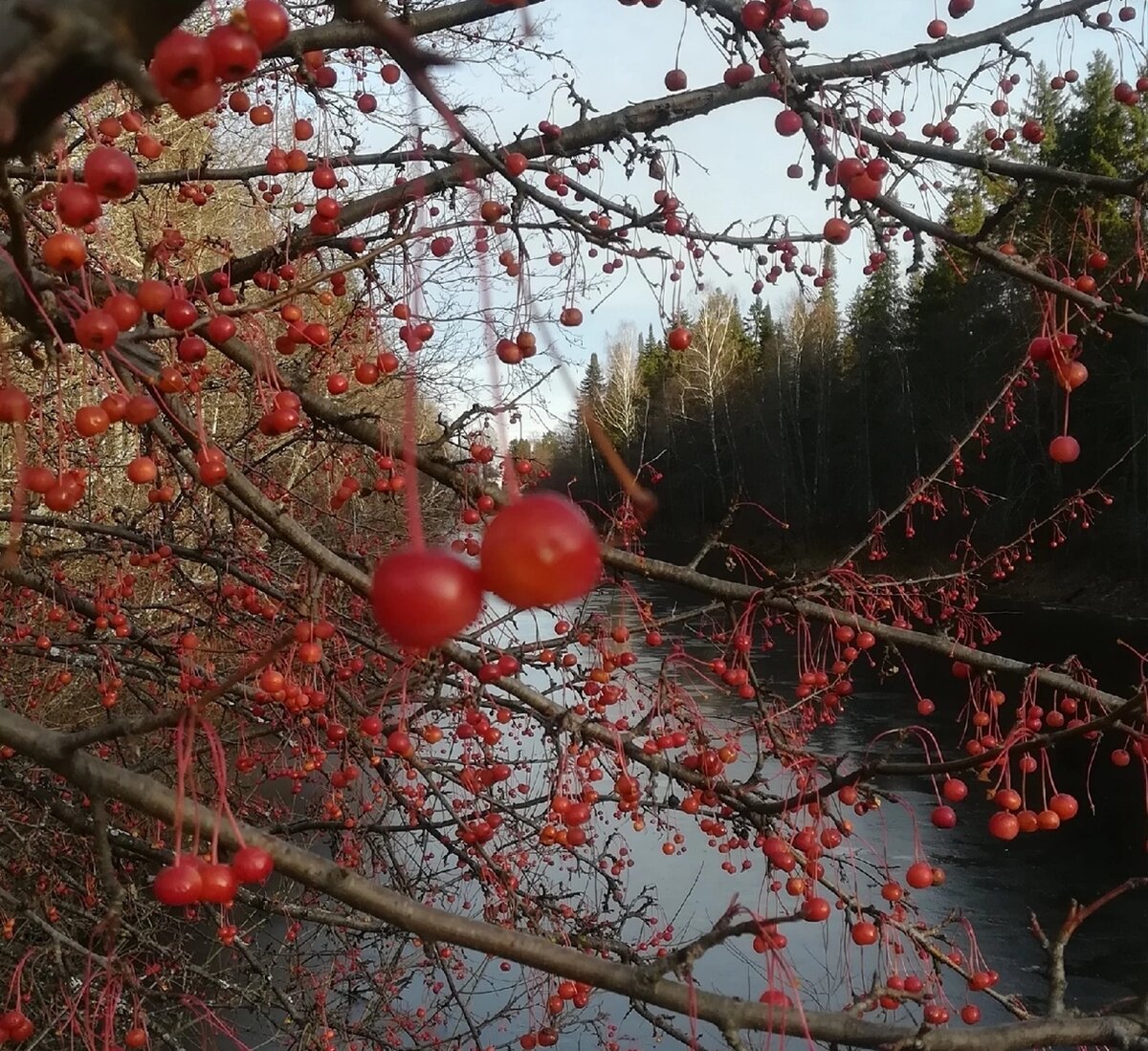 Осень тоже бывает красивой