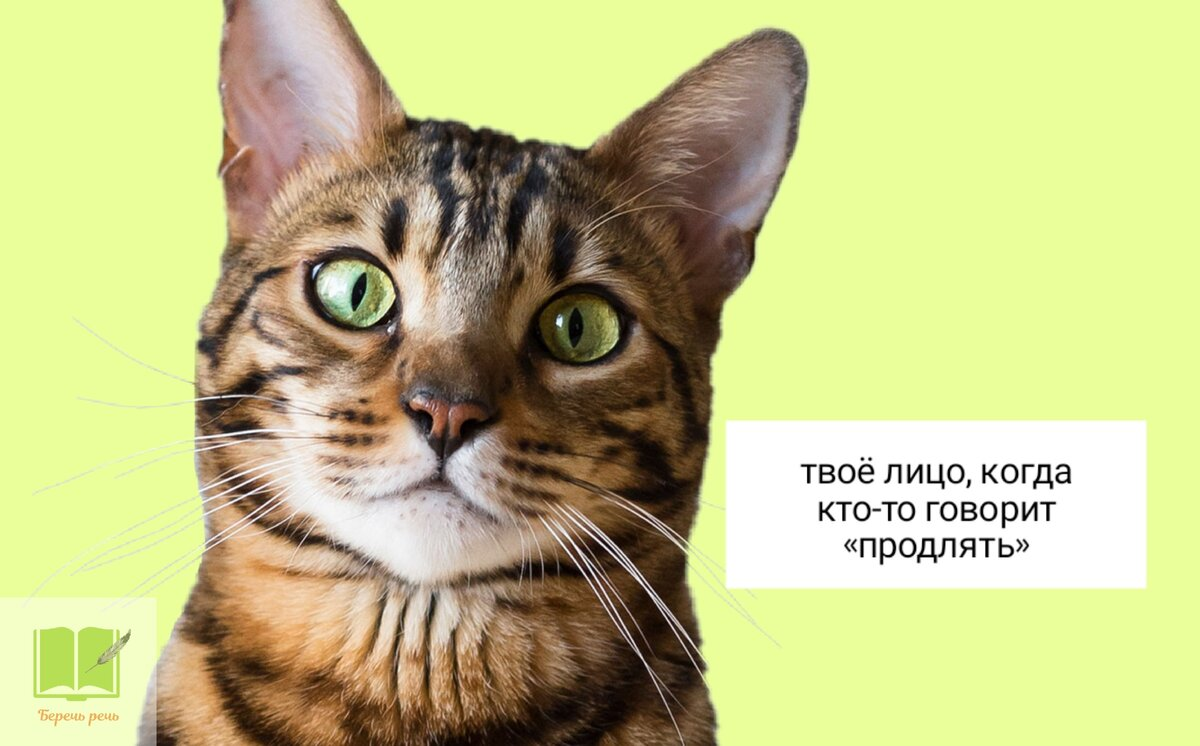 Но разве не позволено напишите. Но разве не позволено напишите