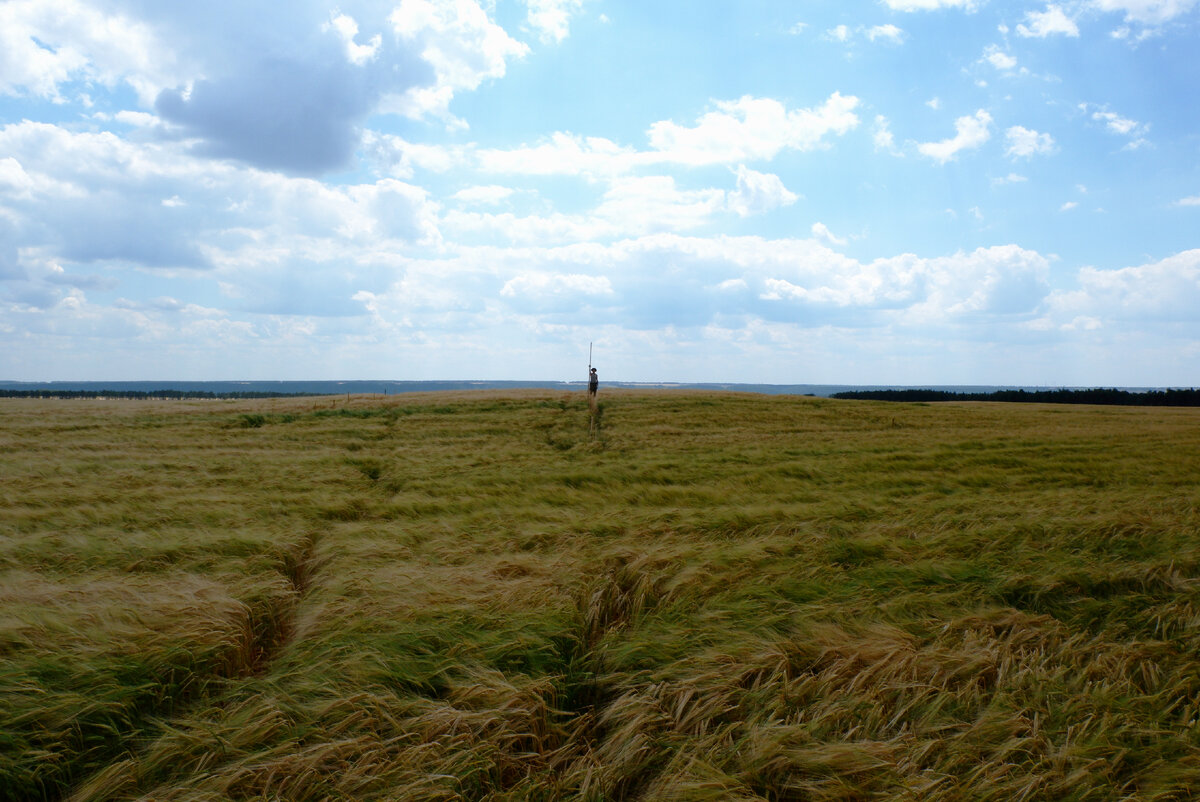 Вид на окрестности до раскопок.