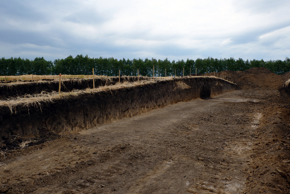 Вид на центральную бровку кургана с юго-востока