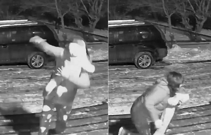 Кадры из видео. Источник: Новосибирск с огоньком