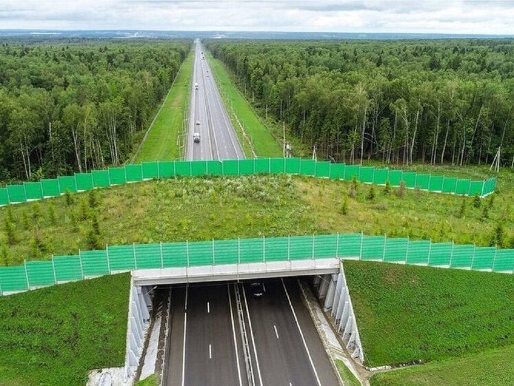     Фото: ДИРЕКЦИЯ АВТОМОБИЛЬНЫХ ДОРОГ КУЗБАССА