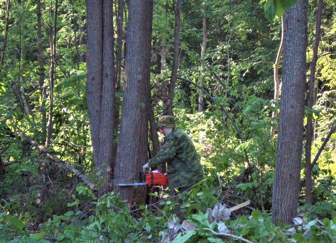 2008 год. Первая пила нового поколения в личном опыте - Husqvarna. До чего легкая по сравнению с прежними Дружбой и Уралом! Это так важно - вес пилы...