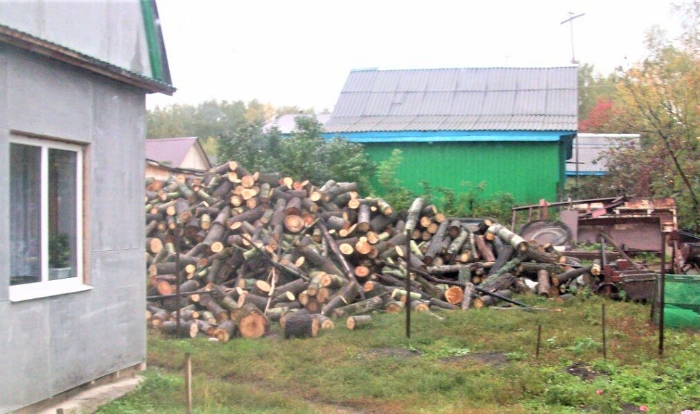 Годами эту картину наблюдаешь в своем дворе. С одной стороны - впереди ждет большой труд. С другой - зимы можно не страшиться, дрова есть...