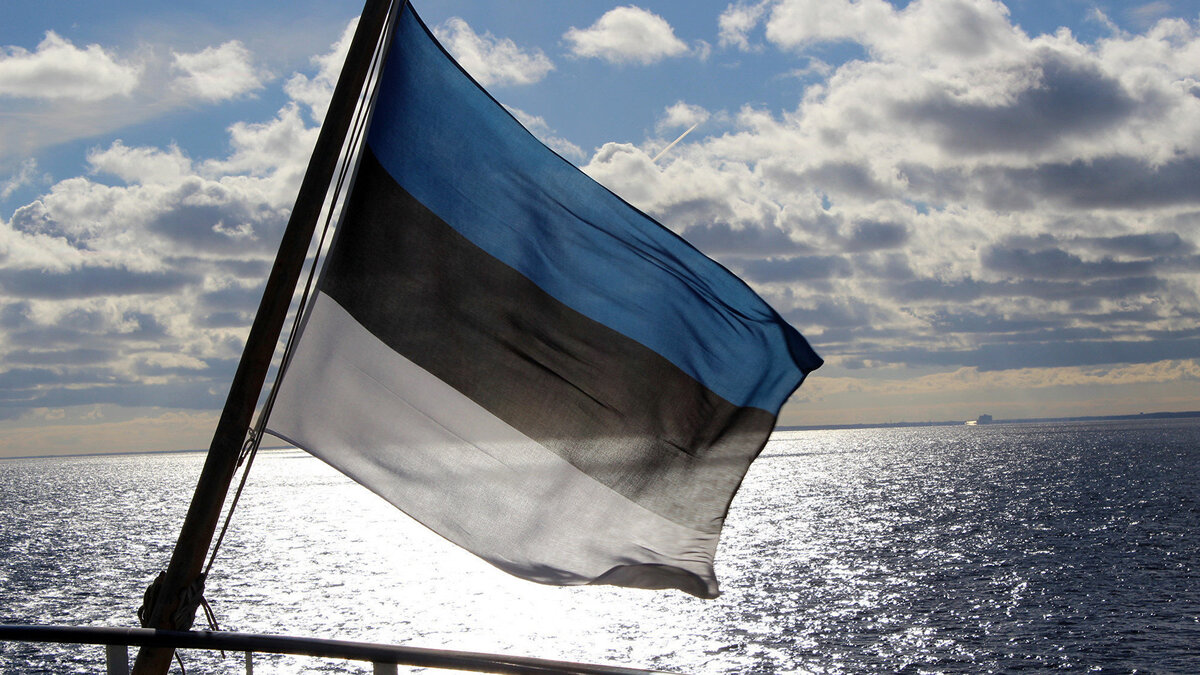    Флаг Эстонии© CC BY 2.0 / Felipe Ernesto