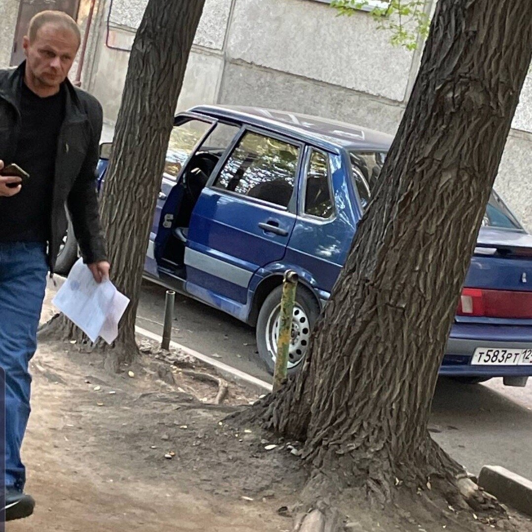 Господин Никитин