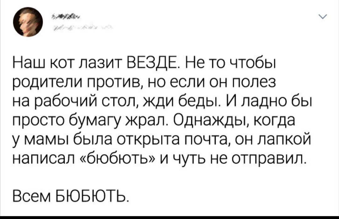 Из сети
