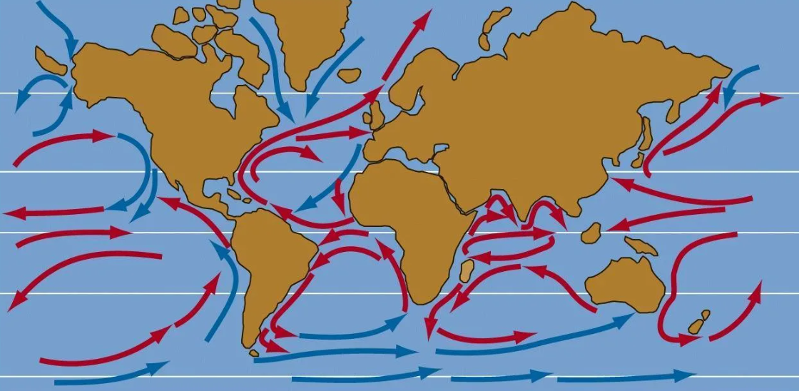 Схема последовательности движения вод мирового океана. Теплые и холодные течения мирового океана. Карта течений мирового океана. Теплые морские течения.