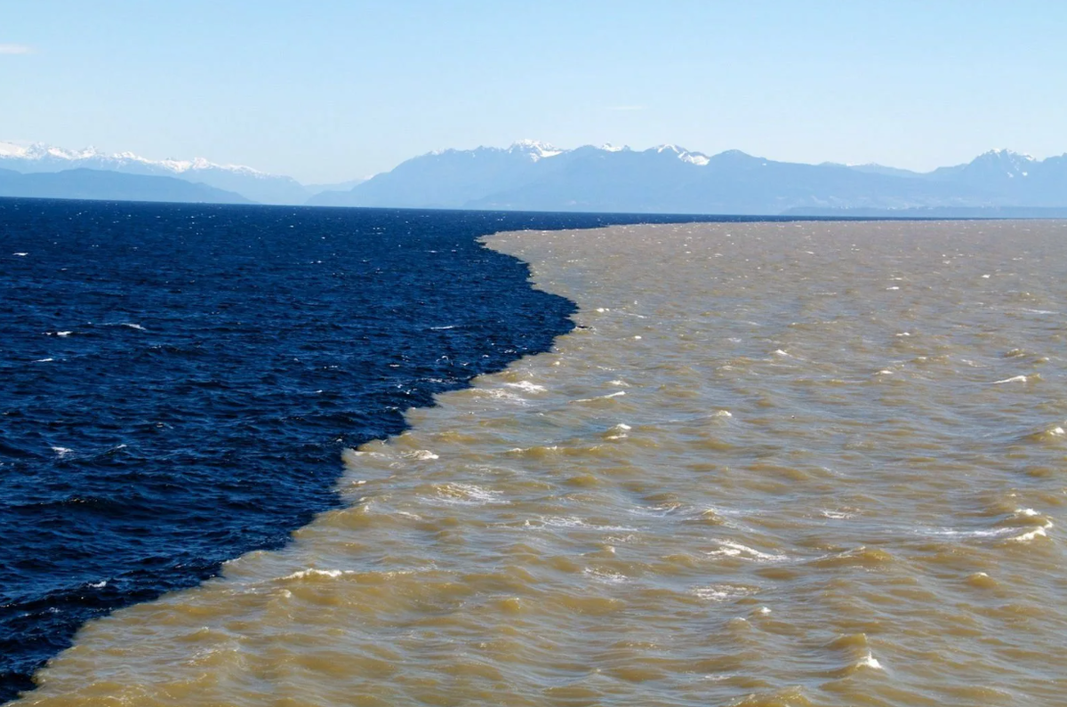 2 океана граничат. Галоклин Балтийское море. Эгейское море и Средиземное море. Галоклин Скаген. Слияние Эгейского и Средиземного морей.