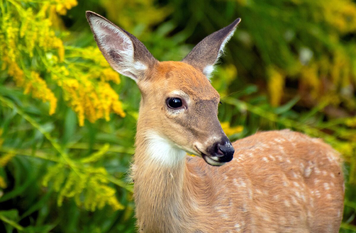 Картинка с бесплатного фотостока https://unsplash.com, автор Mr A
