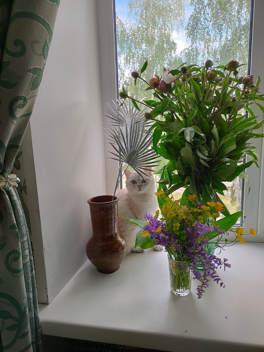 Все фотографии авторства Марины Овчинниковой