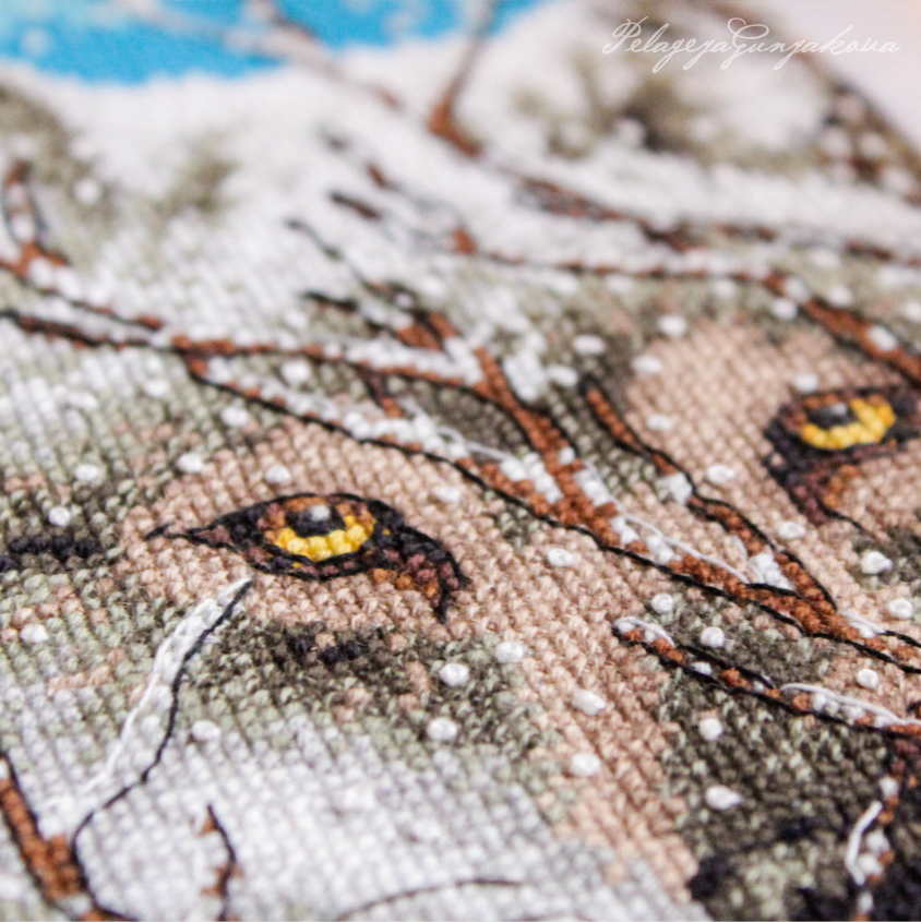 мой первый и единственный dimensions