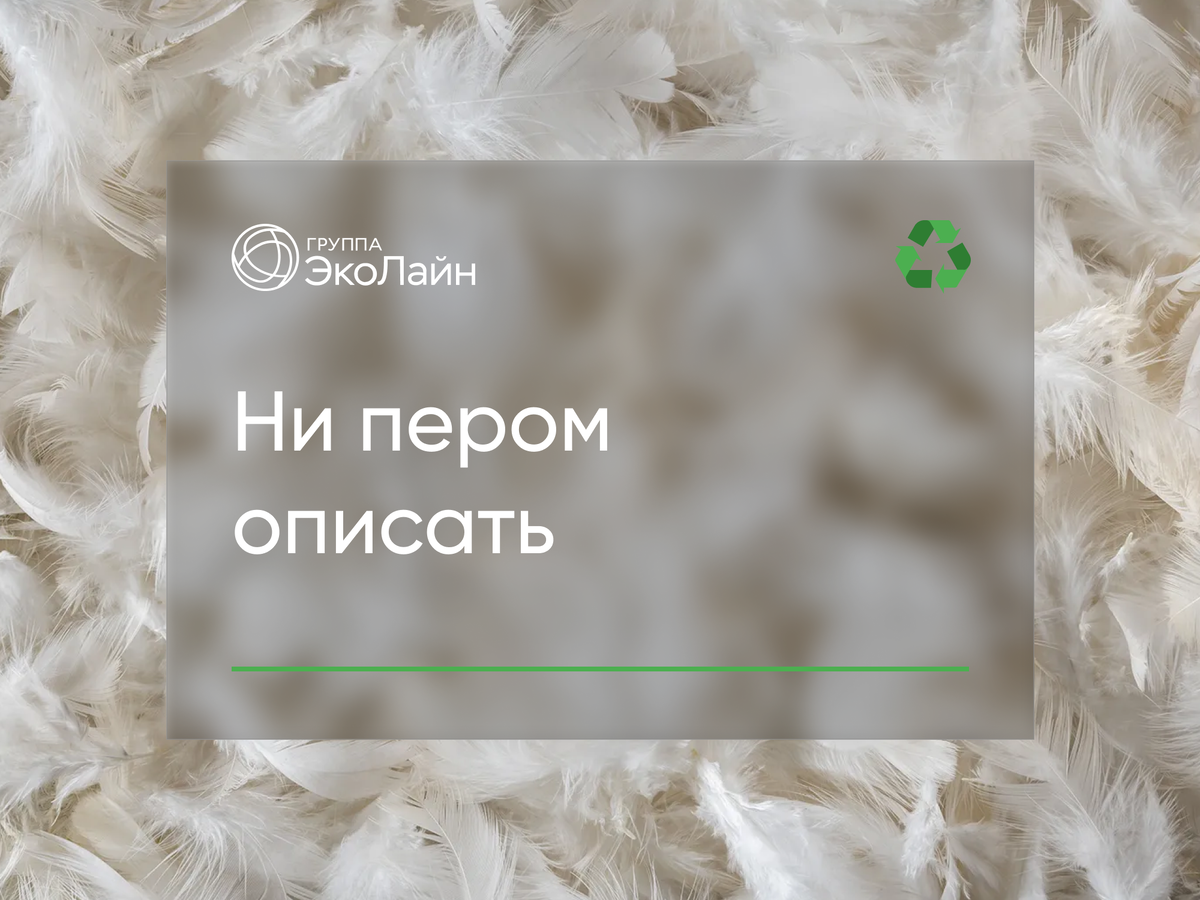 Если использовать в одежде перья в качестве фурнитуры, то какие экологичнее – натуральные или искусственные?