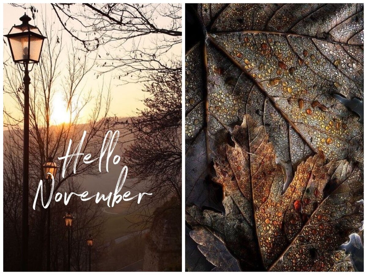 1. Иллюстрации взяты в открытых источниках в сети. Коллажи авторские.