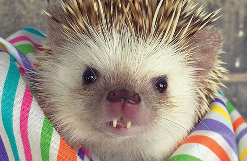 Фото: catalog-photo.ru