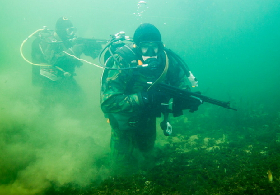 Морской водолаз