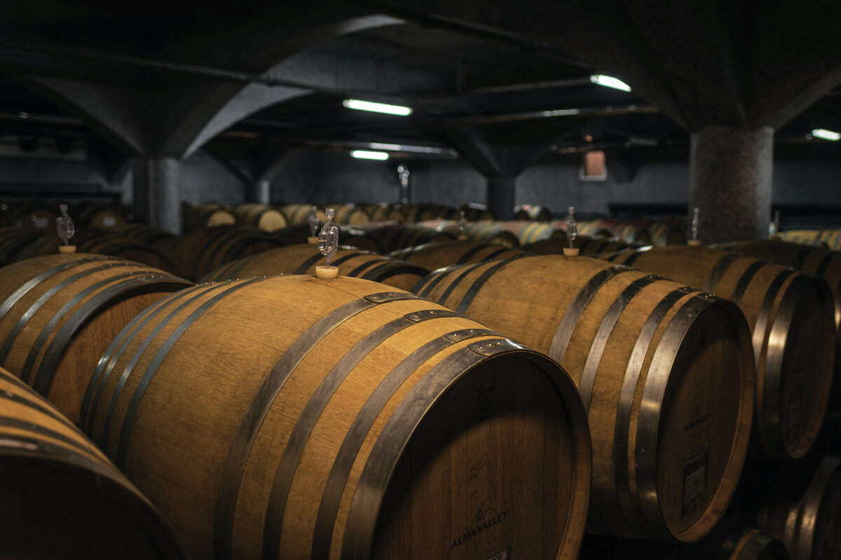 Винодельня Alma Valley // Фото: пресс-служба предприятия
