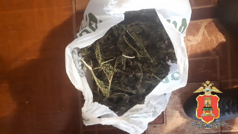 В Тверской области сельский житель заготовил на зиму «травку» – всё изъял наркоконтроль