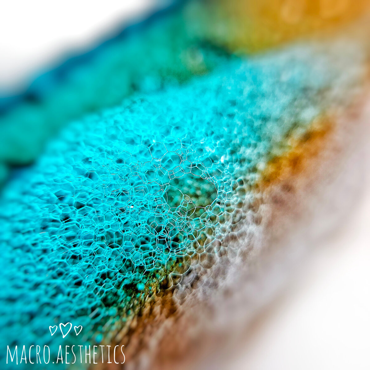 Фото автора. Макропена