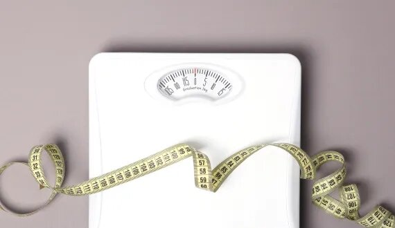 Как правильно кормить стерилизованных котов | BOWL WOW | Дзен