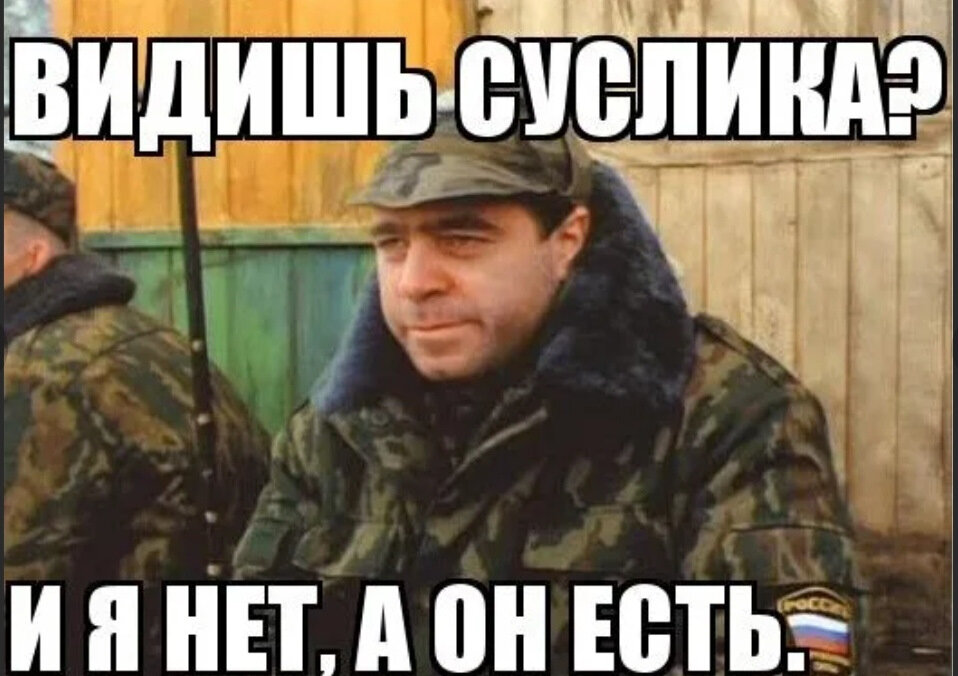 Он есть. Видишь суслика нет а он есть. Видишь суслик нет, АОН есть. ДМБ видишь суслика нет а он есть. Ты видишь нет а он есть