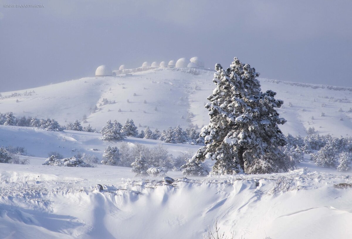 Плато Ай-Петри. Автор фото: Юлия Балахтинова, https://vk.com/id13358152