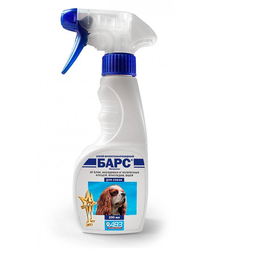 Фото из интернета в свободном доступе