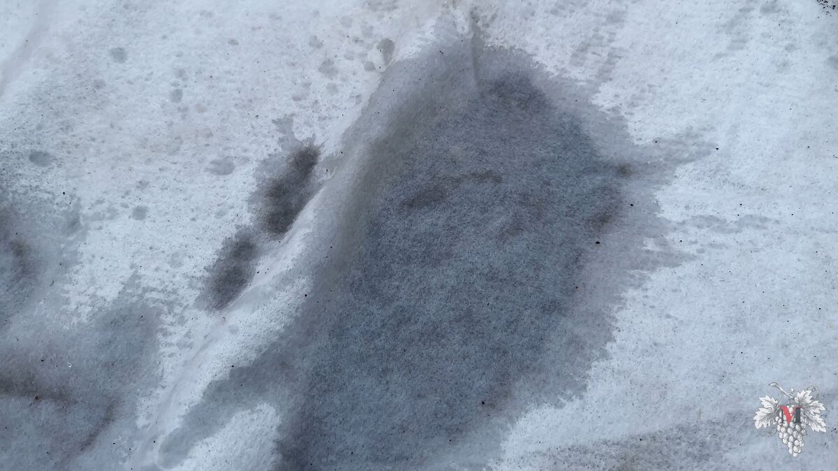 -2-2
