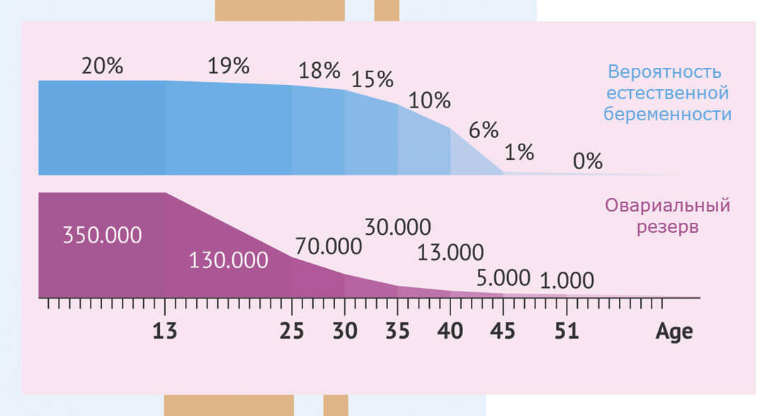 Шансы на естественное зачатие и возраст