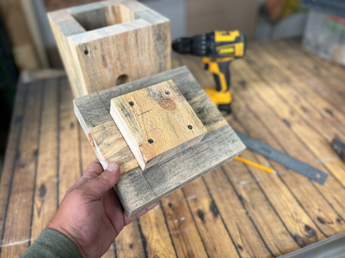 В суете современного мегаполиса мы часто забываем о том, что наши пернатые соседи также нуждаются в заботе и комфорте.-8