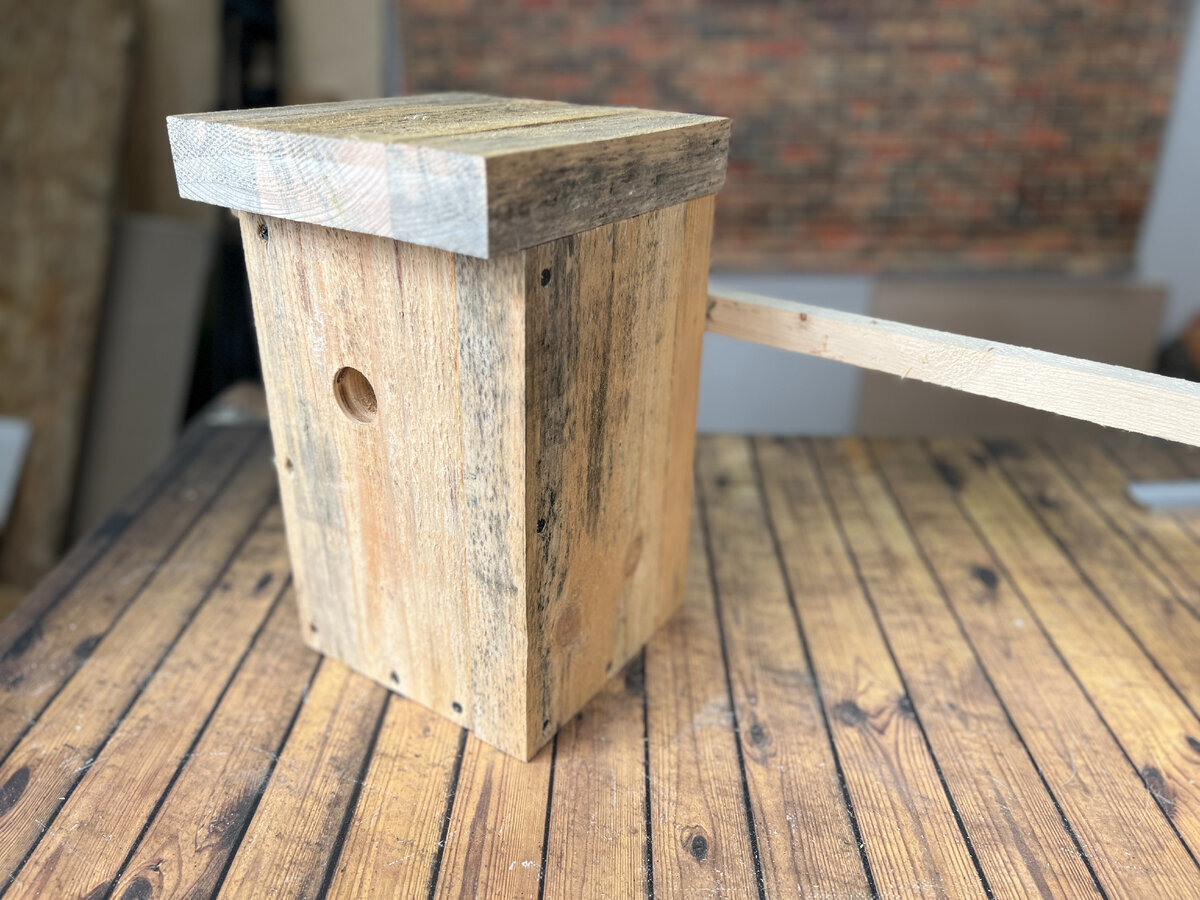 В суете современного мегаполиса мы часто забываем о том, что наши пернатые соседи также нуждаются в заботе и комфорте.-10