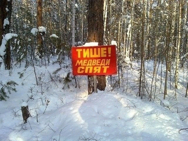 Яндекс-картинка