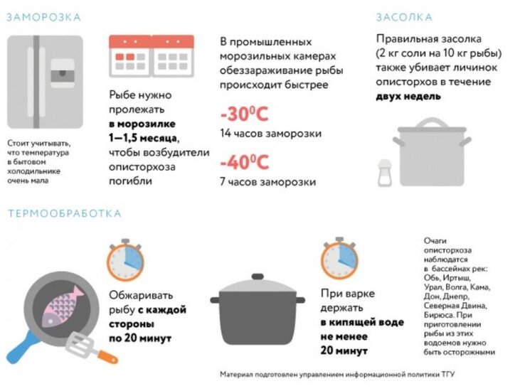     Пути борьбы с описторхозом в Сибири определили ученые БИ ТГУ
