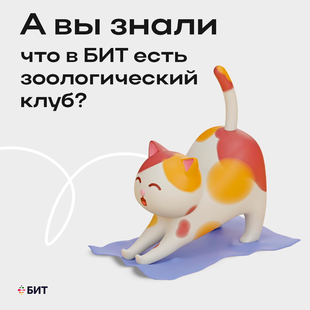 А вы знали, что в онлайн школе БИТ есть зоологический клуб?🐇 | Онлайн  школа 