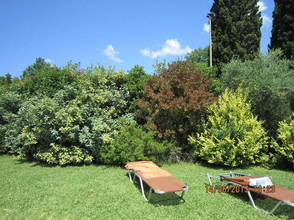 Как здорово подобраны кустарники по цвету, за ними обрыв. Фото автора